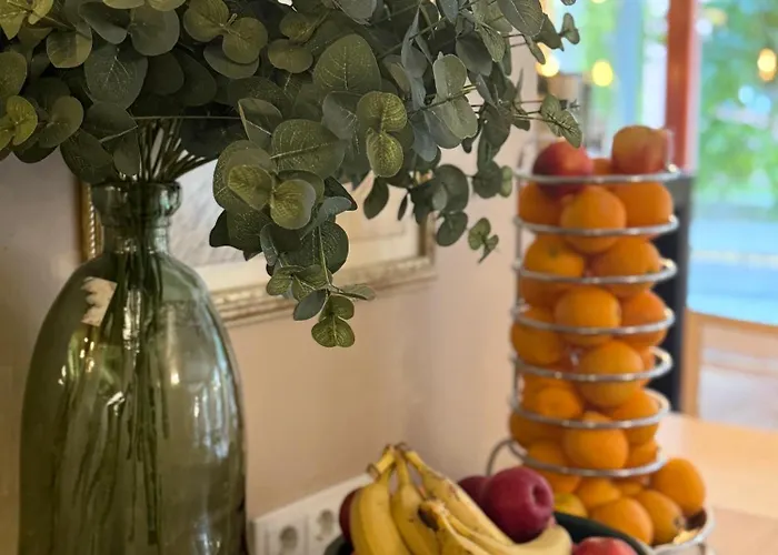 酒店 Old Town Bohema, 3*